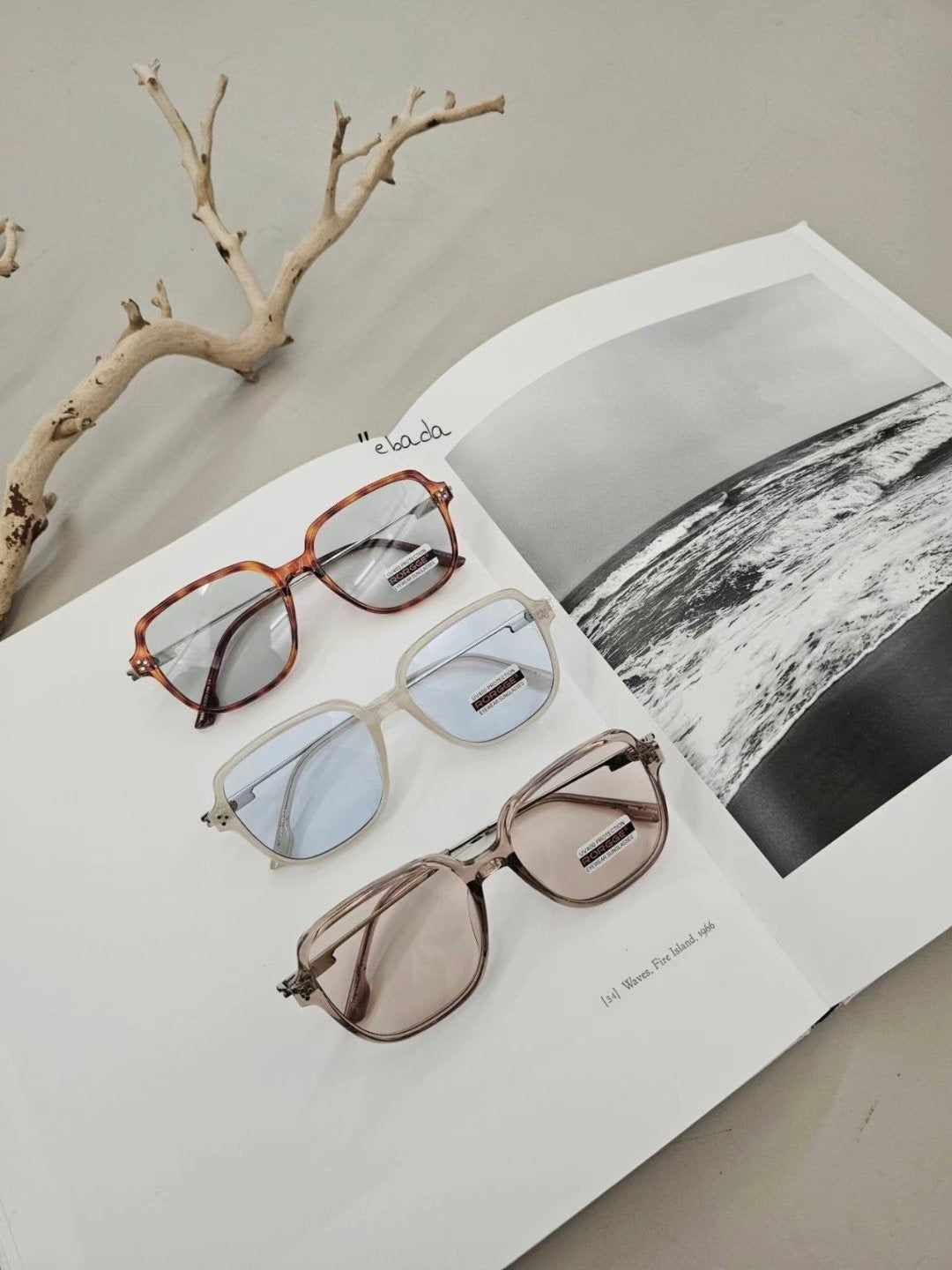 Large frame sunglasses (No.2665)