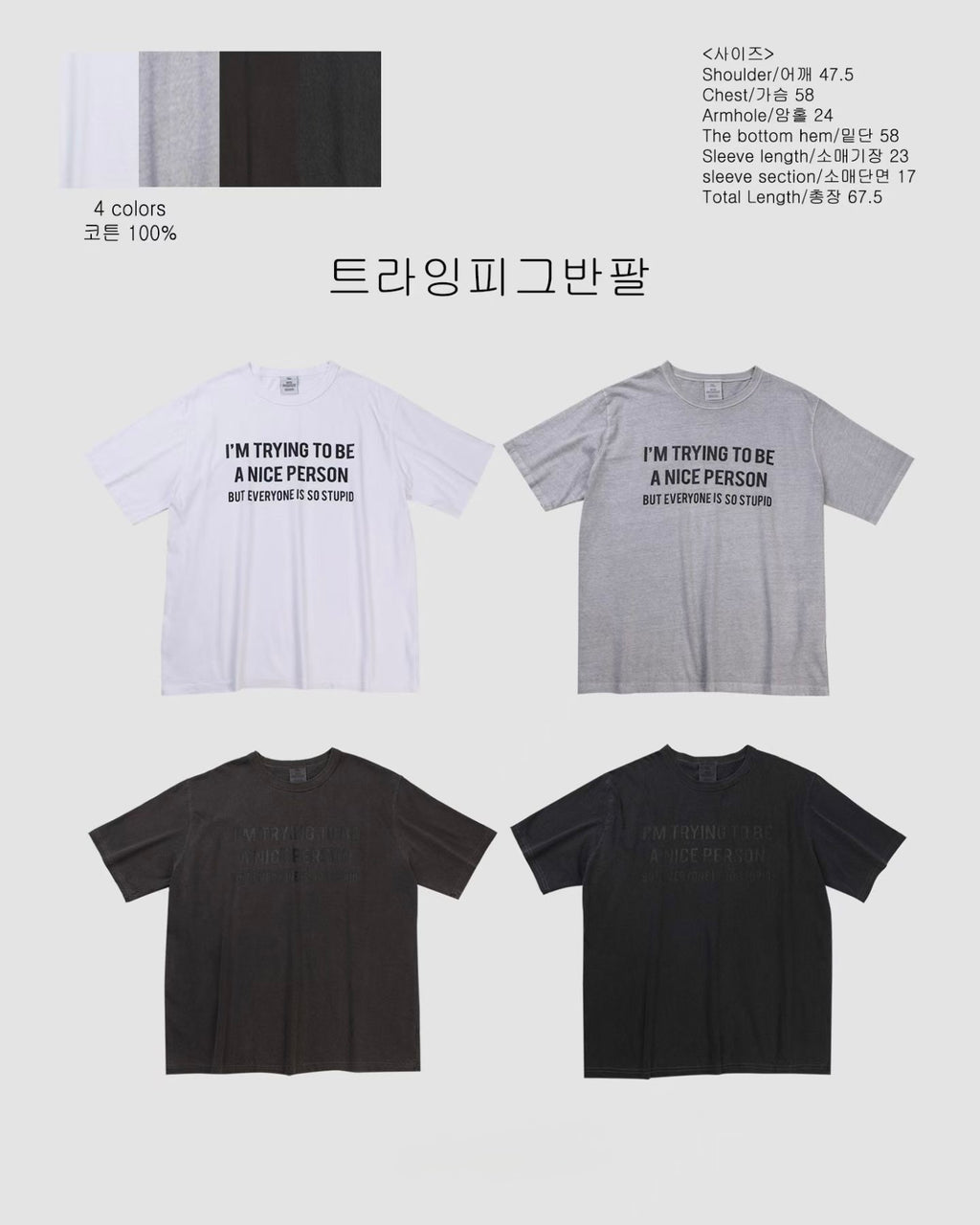 “A Nice Person” Tee